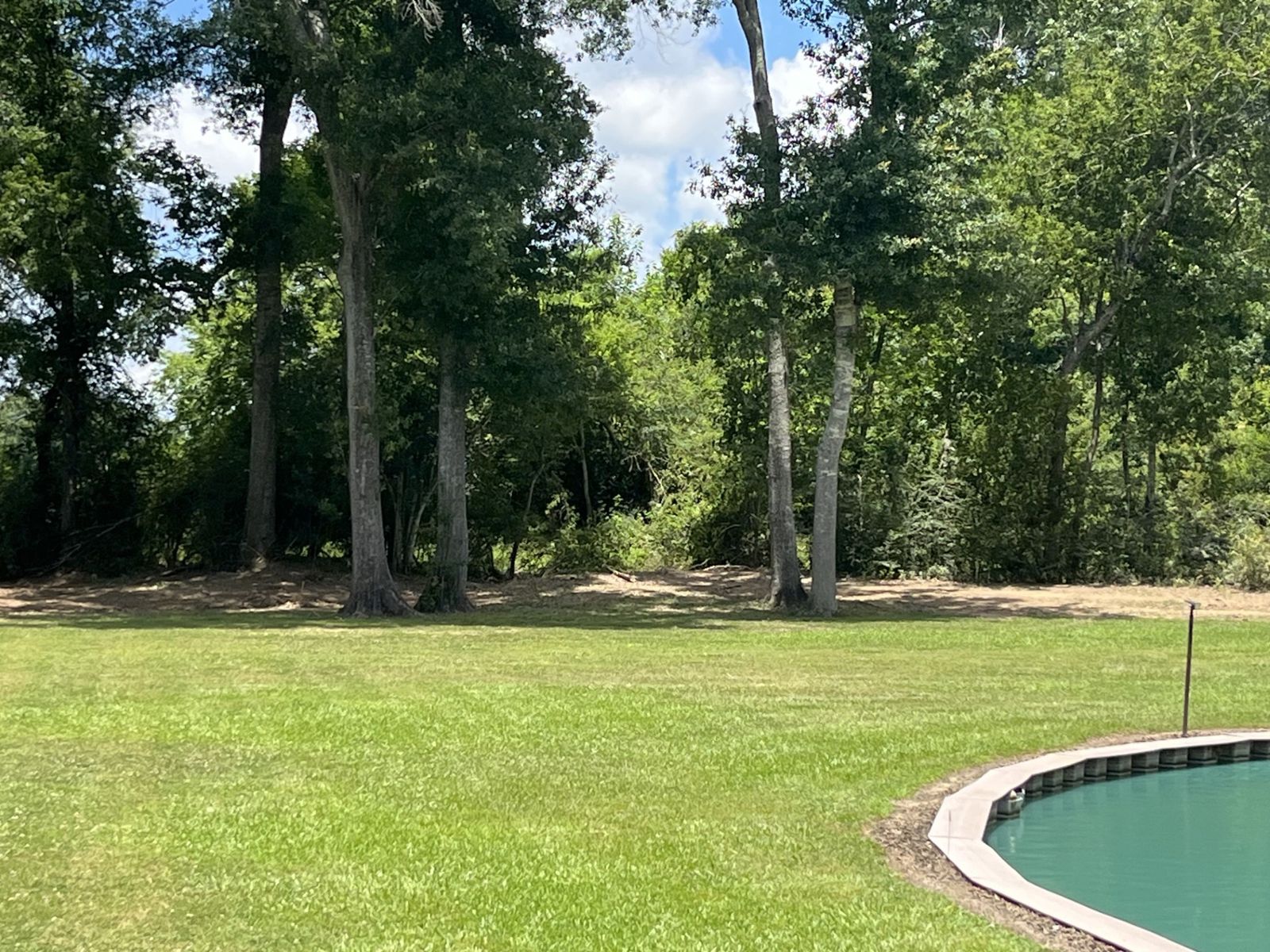 Youngsville · Half-Acre Reclaimed, photo 3