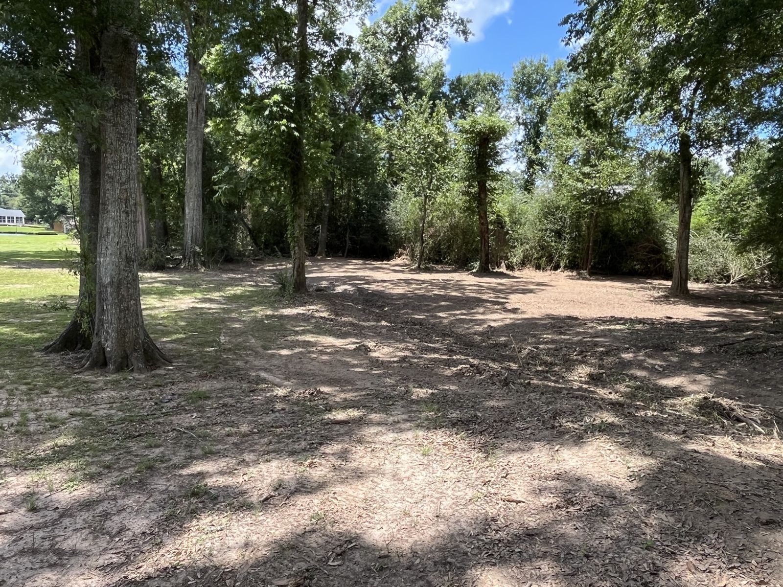 Youngsville · Half-Acre Reclaimed, photo 5