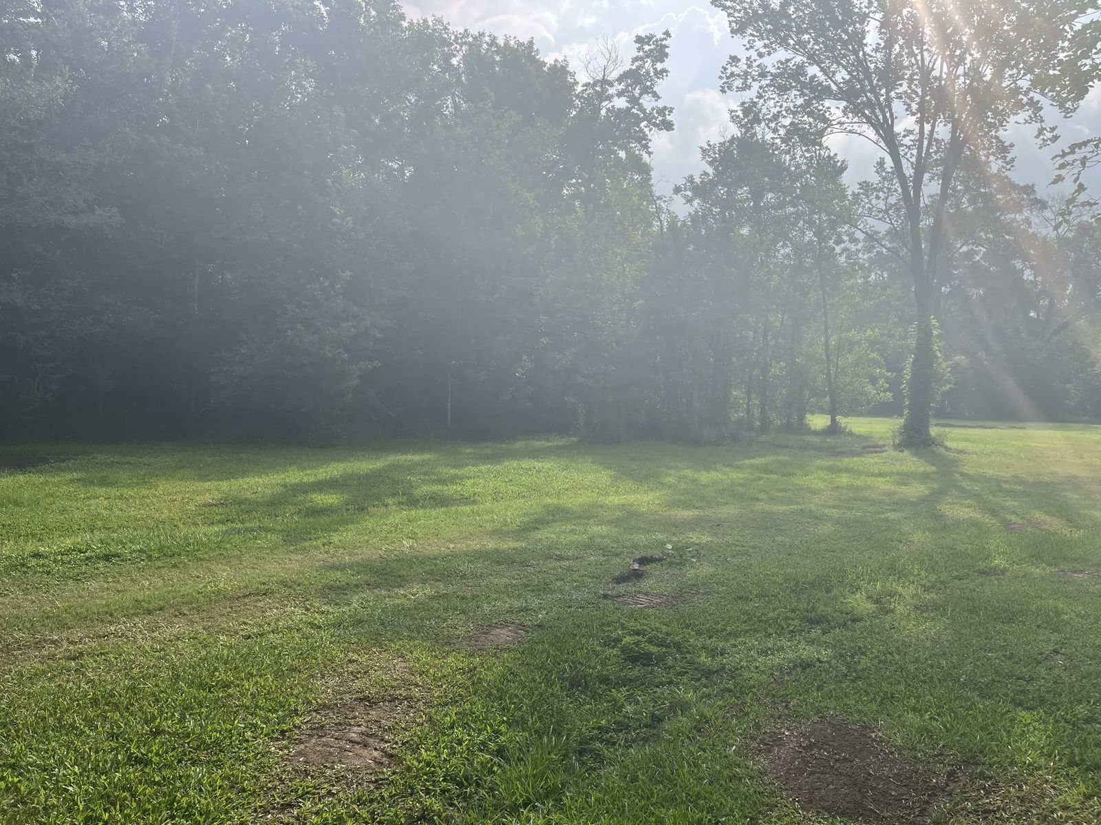 Vermilion River · 5 Acres Reclaimed