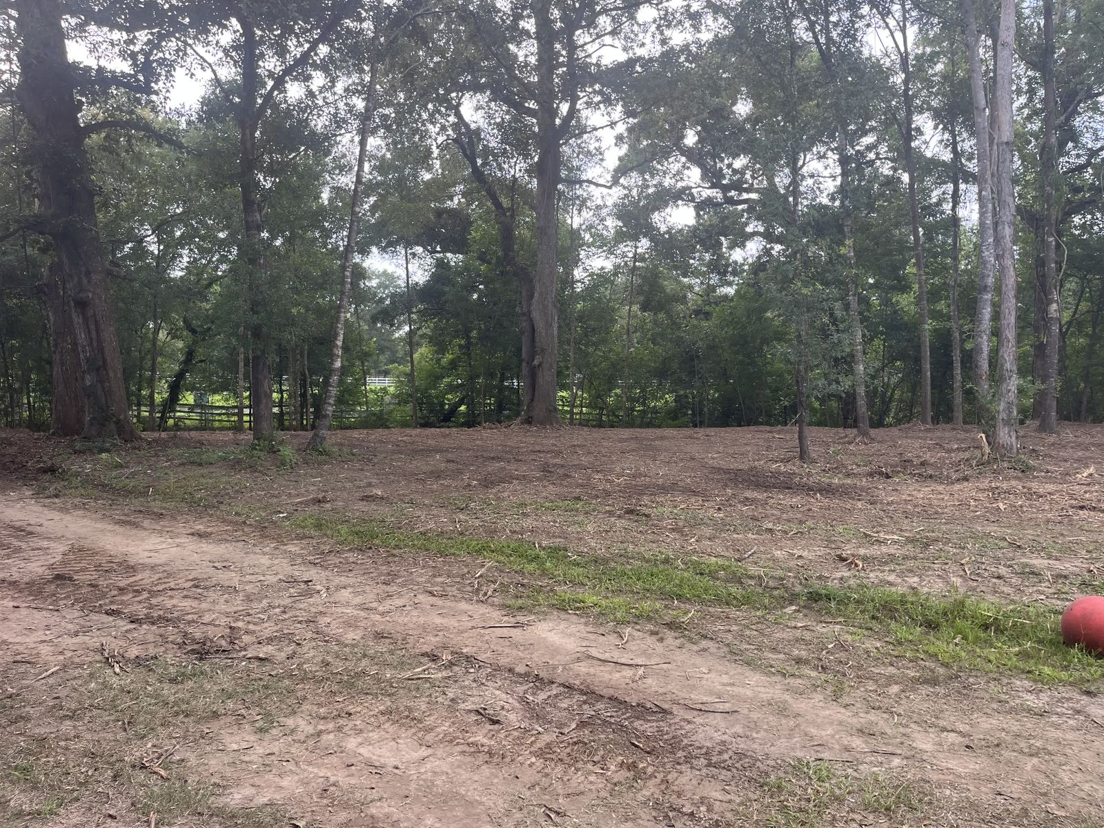Vermilion River · 5 Acres Reclaimed, photo 3