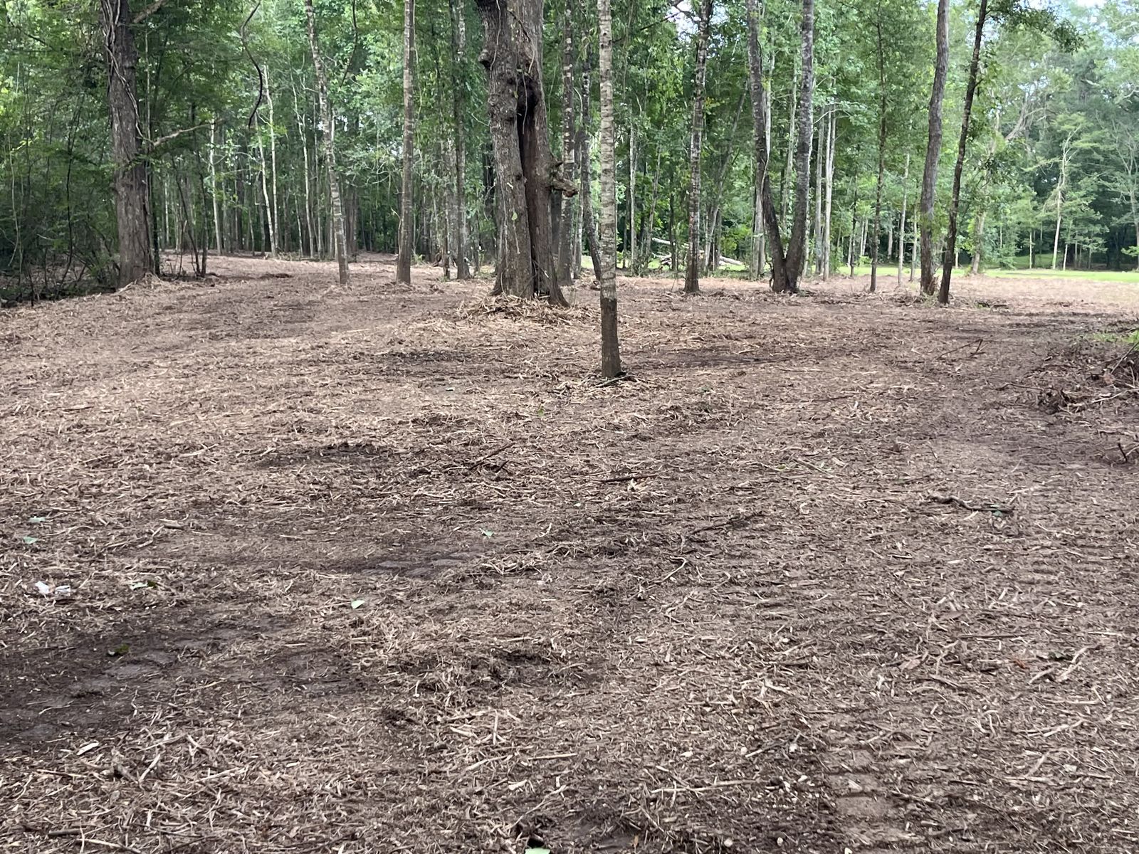 Vermilion River · 5 Acres Reclaimed, photo 4