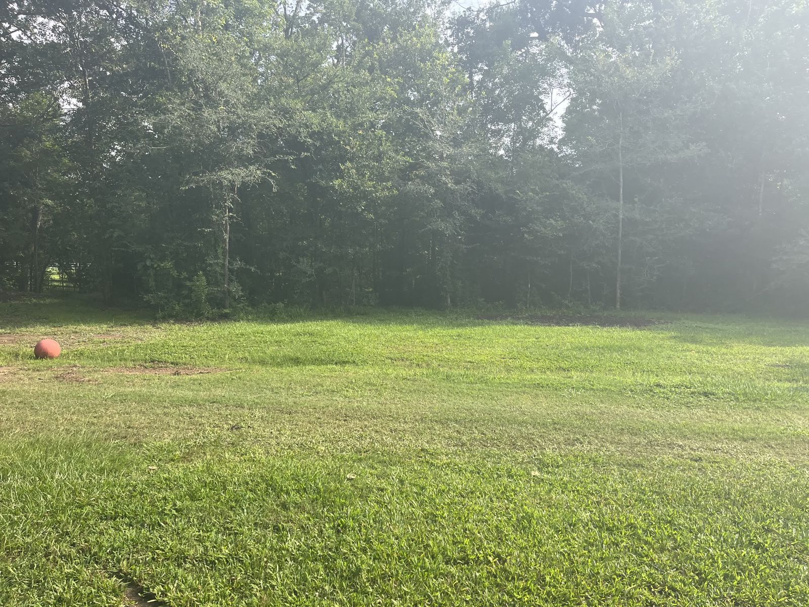 Vermilion River · 5 Acres Reclaimed, photo 5