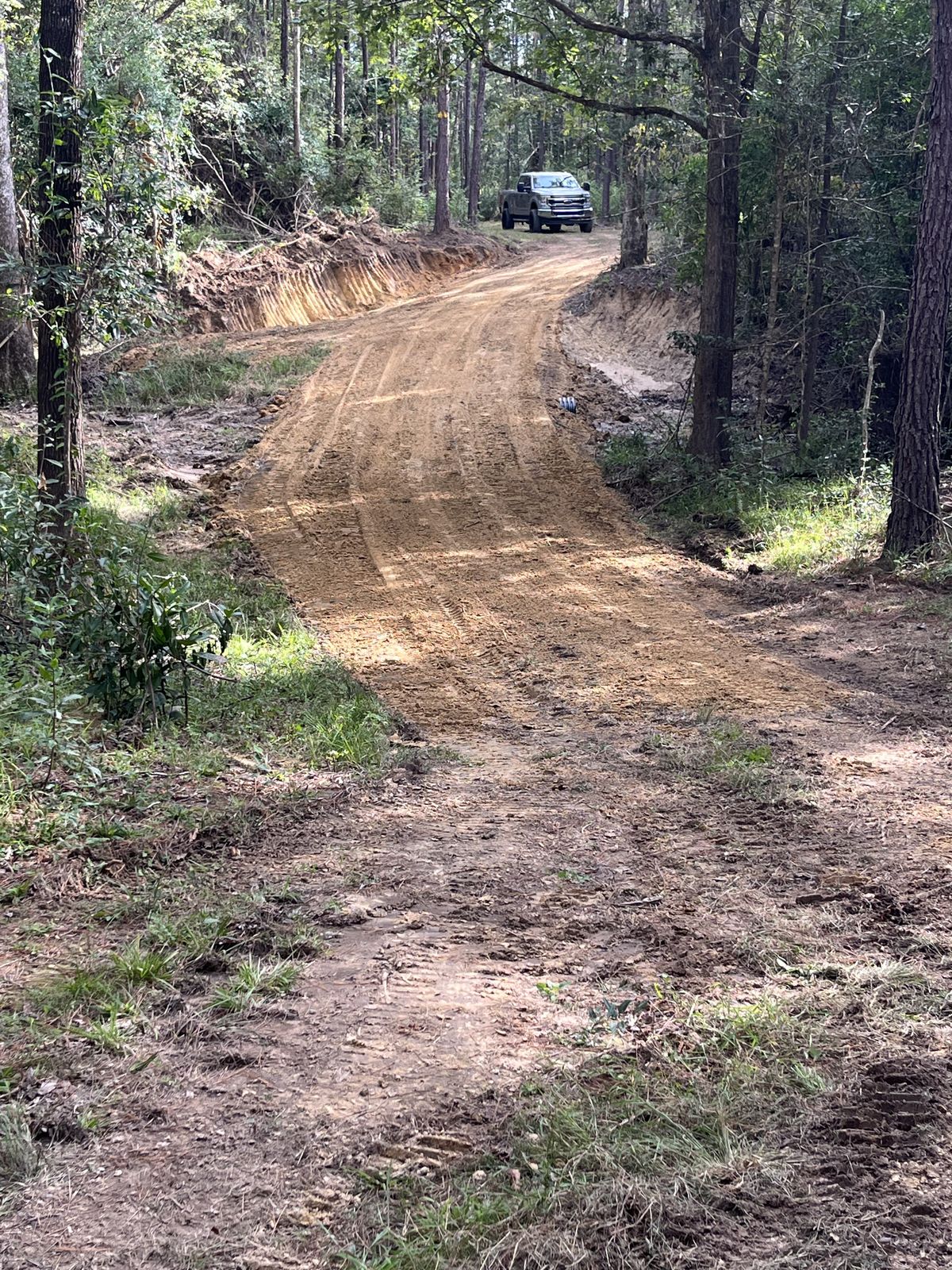 Wolf River · 20 Acres Reopened, photo 4